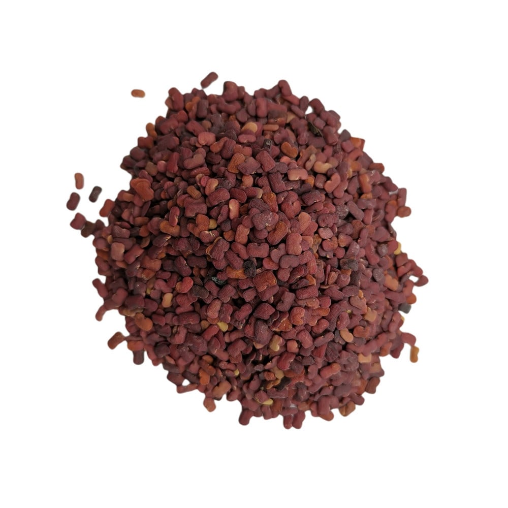 حلبة الخيل .الحلبة الحمراء (الحباسة)