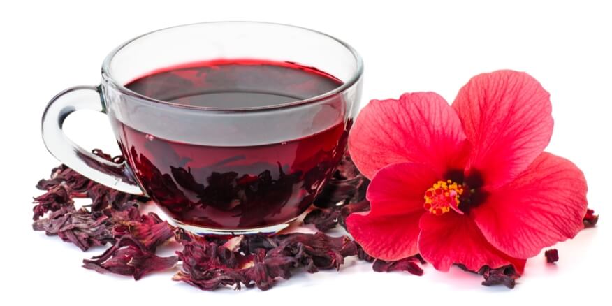 كركديه Hibiscus 🌺
