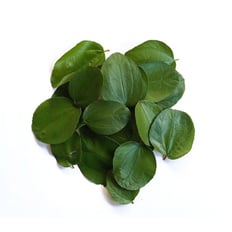 أوراق السدر المطحون