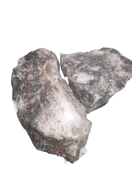 الملحة الحية