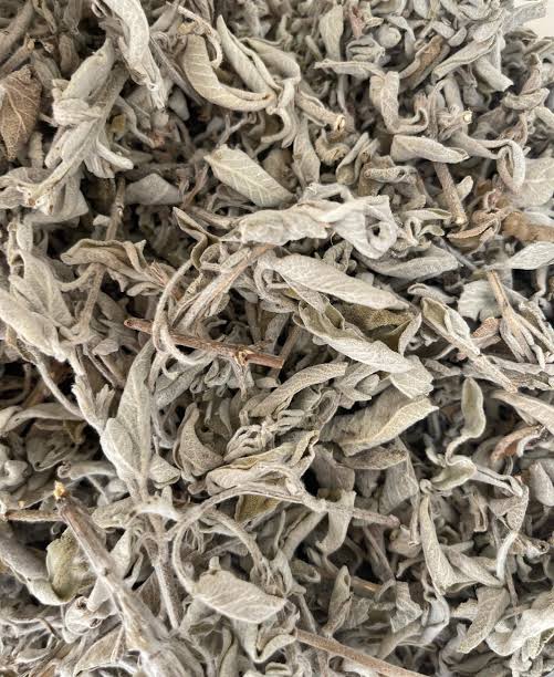 مرمية (السالمية)