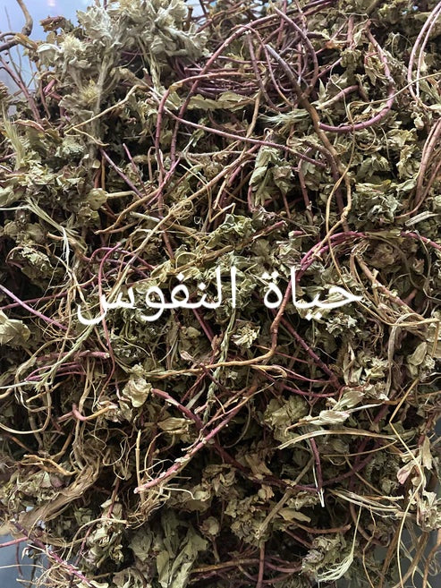حياة النفوس