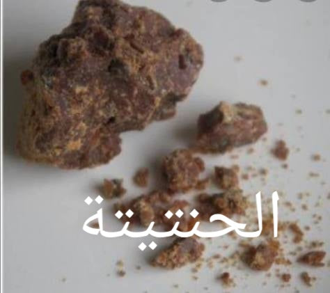 الحلتيت الأصلي (حنتيتة)
