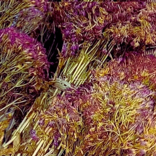 عشبة ݣصة الحية (قصة الحية )