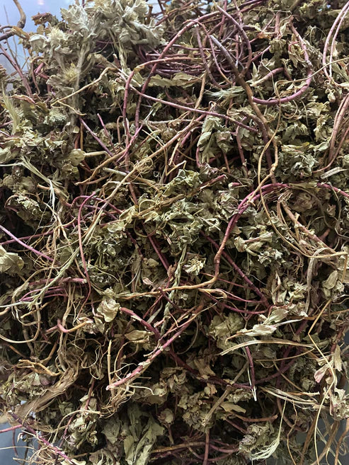 حياة النفوس