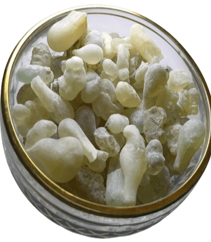 لوبان ذكر عماني حوجري درجة أولى