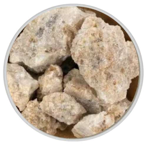 الجاوي الأبيض