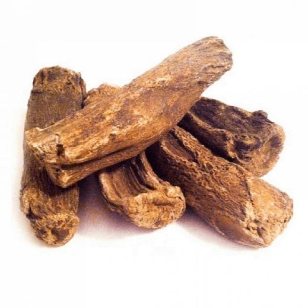 القسط الهندي (البري)