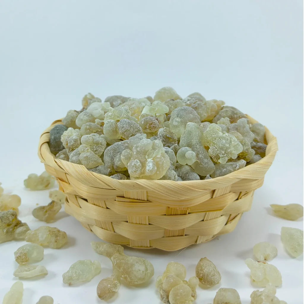 لوبان ذكر عماني حوجري درجة أولى