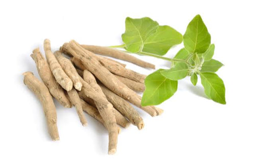 الأشواغندا       Ashwagandha