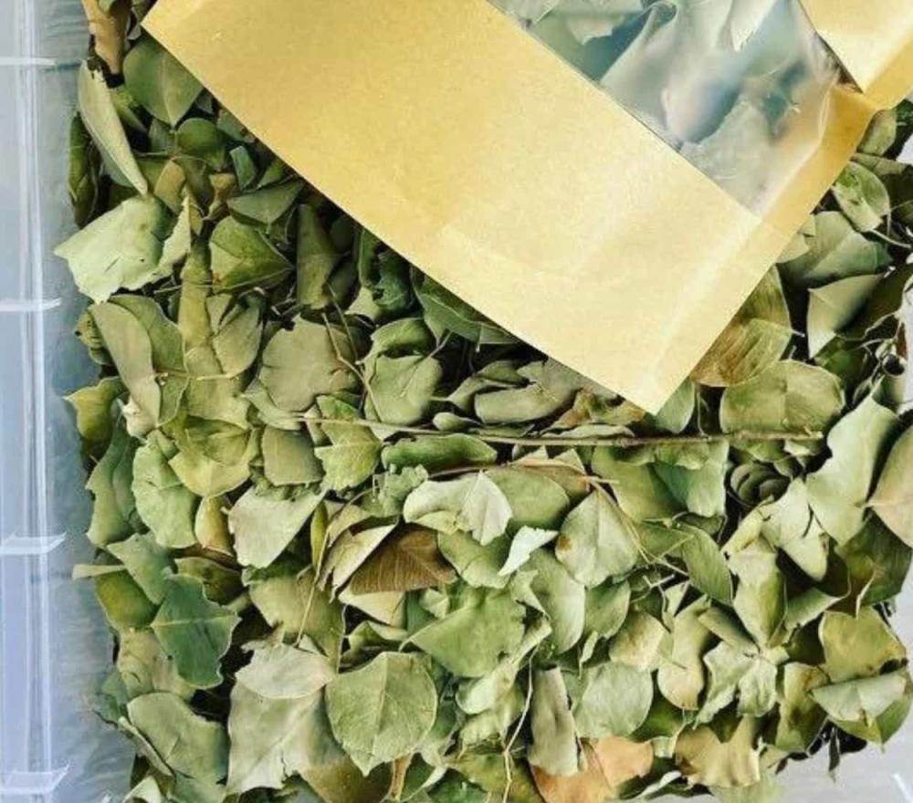 أوراق السدر