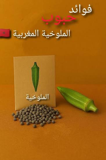 زريعة الملوخية (بذور الملوخية)