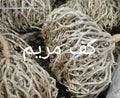 كف مريم
