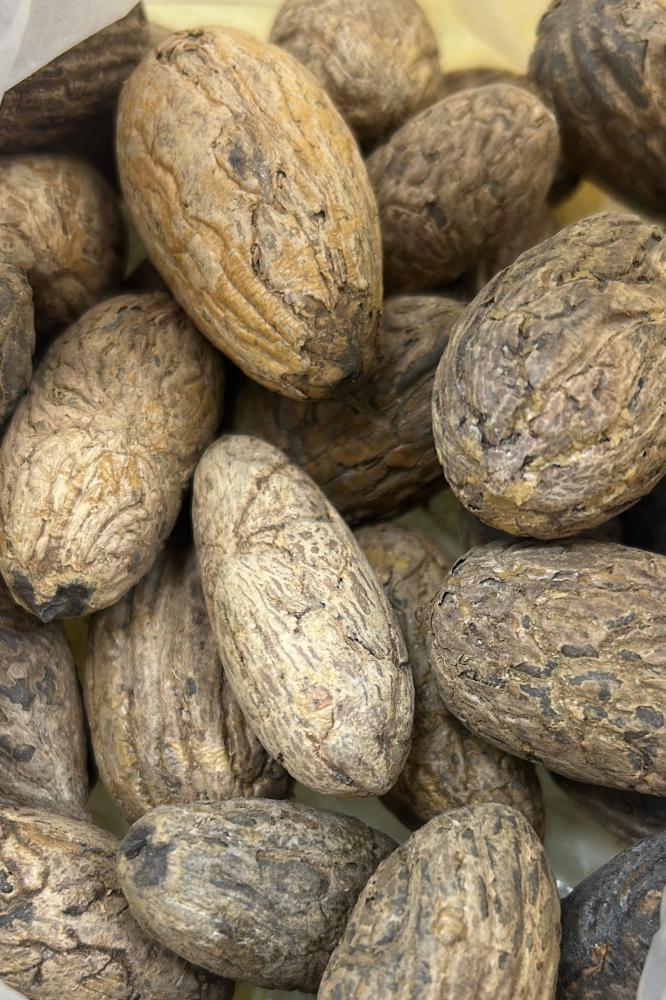 عود الصليب (الفاوانيا)