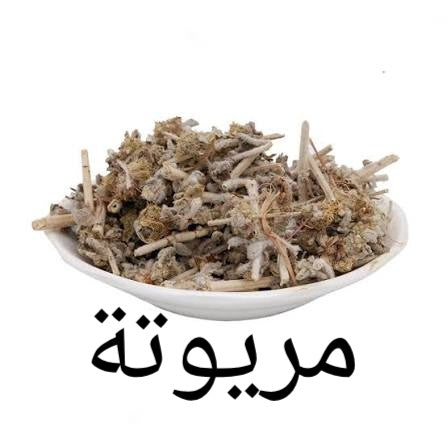 مريوت