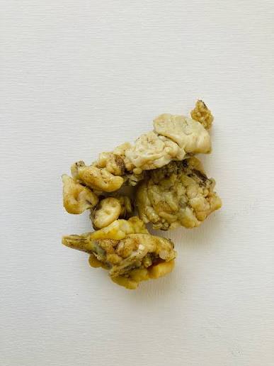 الفاسوخ الأبيض