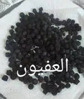 بخور العفيون