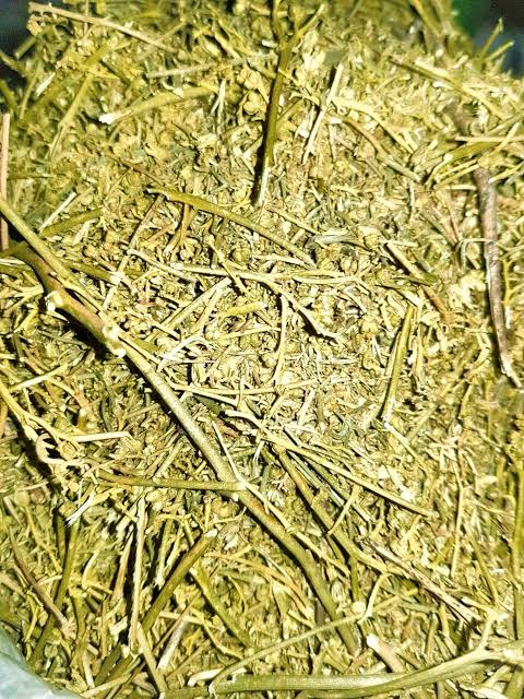 السذاب (الفيجل)