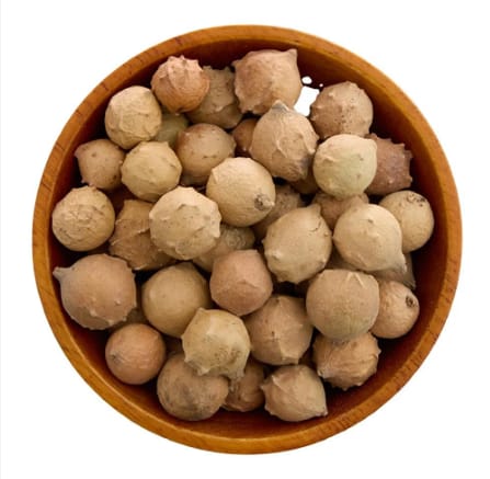 العفص